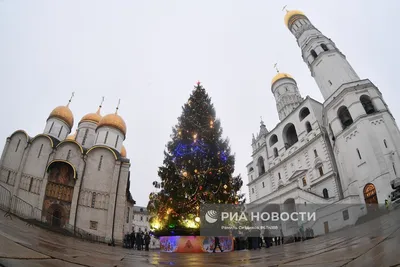 Билеты на Кремлёвскую ёлку 2023-24 \"Письмо Деду Морозу\" - купить билет на  ёлку в Кремле / Новогодняя ёлка в Кремле