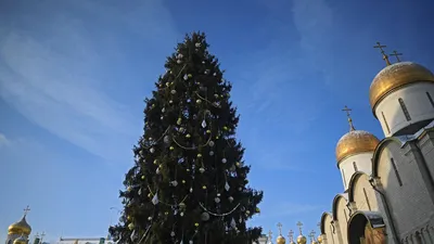 Новогодние Елки для детей и взрослых - Елка в Кремле - 24 декабря - 8  января https://www.ebilet.ru/events/repertoire_id/1829/ Кремлевская елка -  главный отечественный елочный бренд. Рассказывать, что ты был на Елке в  Кремле,