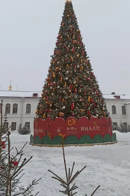 Детям большим и маленьким: Новогодняя ёлка в Кремле – на канале Карусель