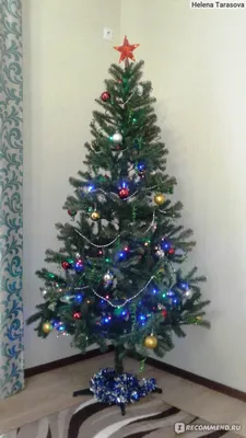 Новогодняя елка дома - 69 фото