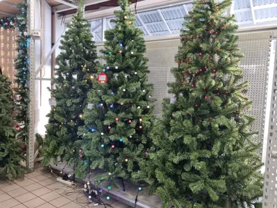 Новогодняя елка простояла год в доме новосибирца | Пикабу