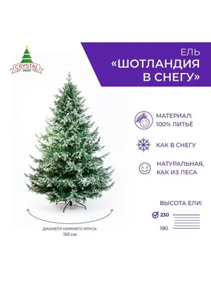Фото Елка в снегу на Красной площади