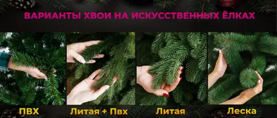 Живая русская елка с доставка и самовывоз в Москве