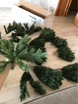 плоский зеленые елки различные формы PNG , рождество, Рождественская елка,  зеленый PNG картинки и пнг PSD рисунок для бесплатной загрузки