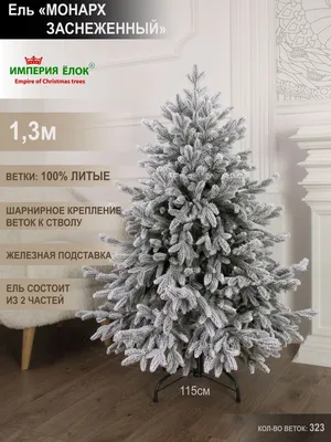Купить саженцы зеленой колючей ели в Екатеринбурге