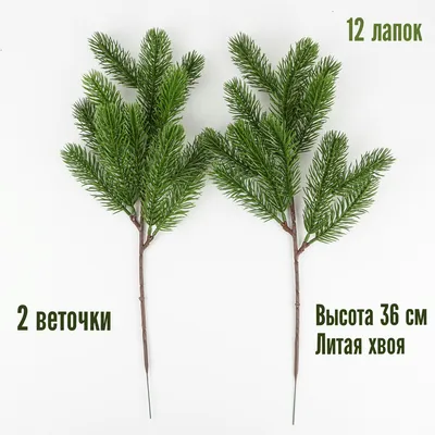 Веточки ели пятёрки зеленые (10шт) за 95.55 грн. оптом с доставкой по  Украине +38(050)080-40-00