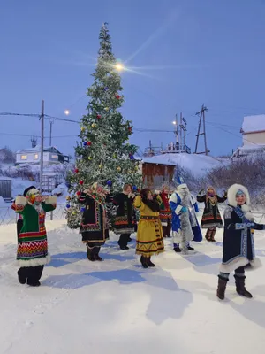Зимний городок из одной елки украсил микрорайон Хабаровска (ФОТО) — Новости  Хабаровска