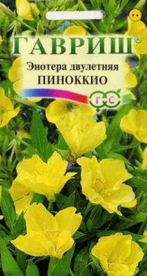 Семена энотера Русский огород Вечерняя роза 763608 1 уп. - отзывы  покупателей на Мегамаркет