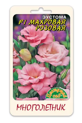 Grandiflorum Eustoma завода Lisianthus с розовыми цветами в большом саду на  плане. Стоковое Изображение - изображение насчитывающей красивейшее,  кровопролитное: 204798421
