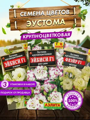 Эустома | Записи в рубрике Эустома | Сундук ПОЛЕЗНОСТЕЙ : LiveInternet -  Российский Сервис Онлайн-Дневников