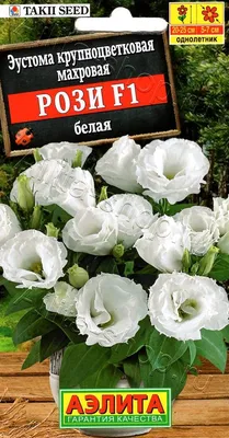 Эустома Рози, смесь окрасок – купить в питомнике Дирижер Сада
