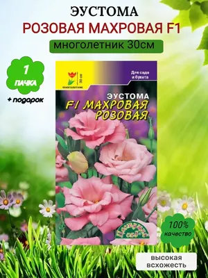 Эустома белая: описание сортов и фотографии | блог интернет - магазина  АртФлора