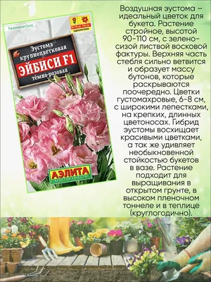 Семена эустома Аэлита Рози лиловая F1 1 уп. - купить в Москве, цены на  Мегамаркет