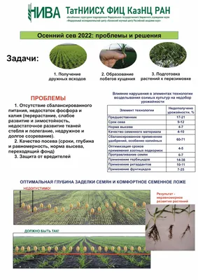 Досвід застосування Дженфілд БТ в бакових сумішах - мистецтво створення  ліків для захисту рослин