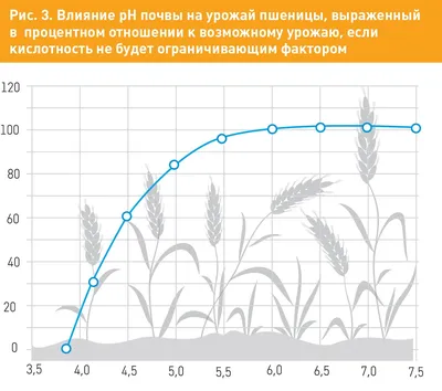 АгроМатематика: Технология выращивания озимой пшеницы 2в1: надежная защита  и экономия — Latifundist.com