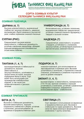 Особенности ухода за посевами озимых и сева яровых сельскохозяйственных  культур в сложившихся погодных условиях текущего года | НПЦ НАН Беларуси по  земледелию | Министерство сельского хозяйства и продовольствия Республики  Беларусь