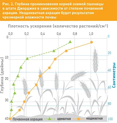 Исследование о влиянии шин сверхнизкого давления на урожайность и качество озимой  пшеницы