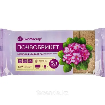 Ирина Толубенко on Instagram: \"ЕК-Сады Семирамиды спорт. Розетка в продаже.  #продамфиалки, #фиалкарасцвела, #купитьфиалки, #фиалкихарьков,  #фиалкинамоемокне, #фиалкиукраина, #фиалкипродажа, #фиалкикупить,  #люблюфиалки, #сенполия, #моифиалки, #senpolia ...