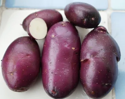 Овощи Картофель чёрный - «Какой на вкус чёрный картофель? Приготовила  сине-фиолетовое пюре. » | отзывы