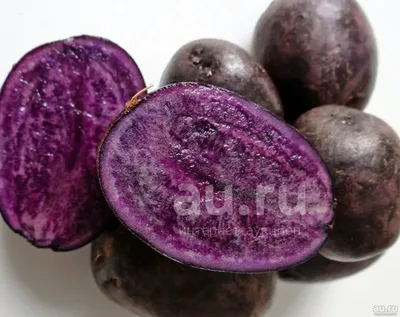 Картофель фиолетовый Украина - купить за 94.00 грн, доставка по Киеву и  Украине, низкая цена | Интернет-рынок продуктов FreshMart