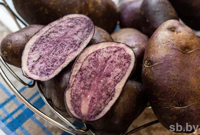 purple potatoes