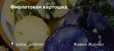 Картофель фиолетовый кг | Корнеплоды | Arbuz.kz