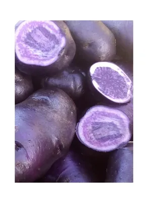 Фиолетовая картошка стоковое фото. изображение насчитывающей кашевар -  58545668