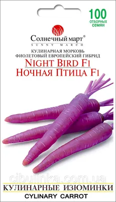 Фиолетовая морковь на белой предпосылке Стоковое Изображение - изображение  насчитывающей сочно, хуторянин: 124502063