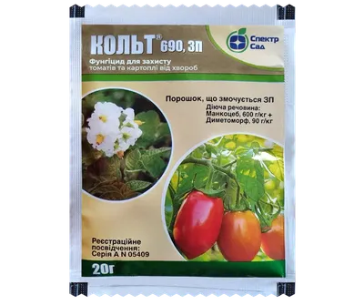 Как отличить фитофтороз от альтернариоза?