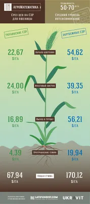 АгроМатематика: Технология выращивания озимой пшеницы 2в1: надежная защита  и экономия — Latifundist.com