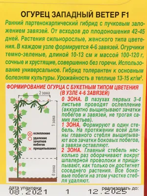 Огород.ru - Способы подвязки огурцов (ТЕПЛИЦА). 🥒 \"Ослепление\" огурцов.  Основной стебель подвяжите к вертикальной опоре, а затем удалите все  боковые побеги и усы, расположенные выше 50 см от уровня земли. В этом