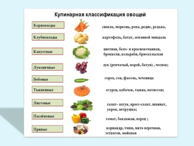 Презентация Способы нарезки овощей урок технологии - скачать презентацию