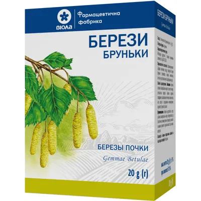 Стокове фото Стовбур Берези З Молодим Листям — Завантажте зображення зараз  - White Colour, Береза, Березовий гай - iStock