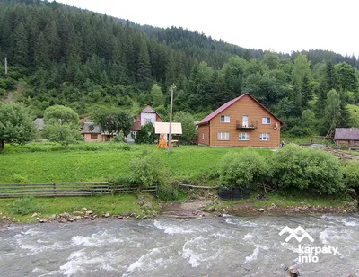 Березы почки пачка с внутренним пакетом 20 г (4820085400573) Виола  (Украина) - инструкция, купить по низкой цене в Украине | Аналоги, отзывы -  МИС Аптека 9-1-1