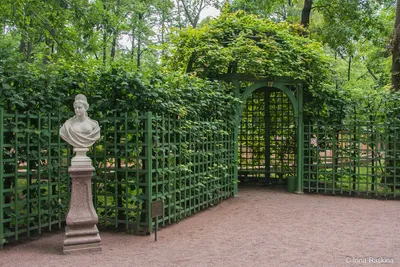 Китайские павильоны В Беседке.РУ - беседки, заборы, дачные дома, деревянные  дома, дома, коттеджи - Статьи о Малой Архитектуре