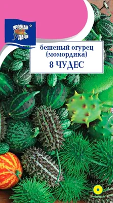 Бешеный огурец | Пикабу