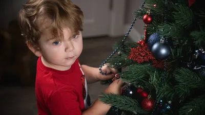Новый год-2024 - как уберечь детей от смертельной опасности, которую несет  елка | РБК Украина