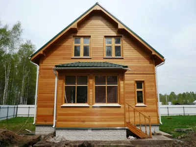 Где выросли сосны и ёлки, которые продают в Ростовской области | Заря