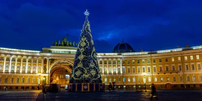 На Дворцовой площади зажгла огни главная елка Петербурга | moika78.ru -  Новости СПб