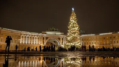 Демонтаж новогодней ёлки на Дворцовой площади перенесли на 25 января