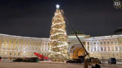 Главная елка в Санкт-Петербурге 2024—2025: где будет стоять, когда  установят, чем украсят и как добраться