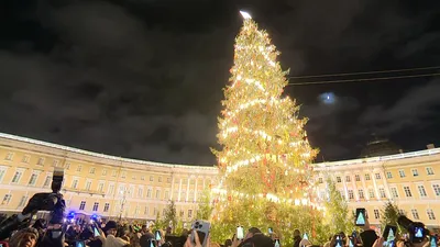 На Дворцовой площади новогоднюю ель установят 20 декабря