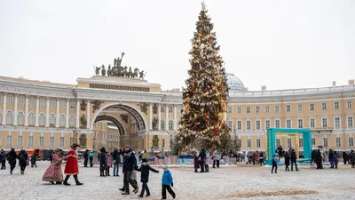 Стало известно, будет ли на Дворцовой площади живая елка на Новый год —  2023 - МК Санкт-Петербург