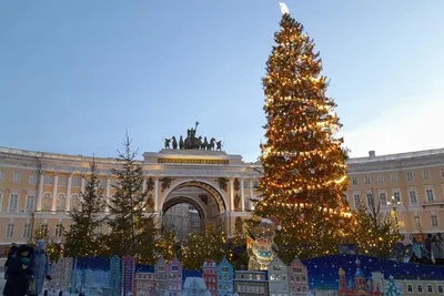 Главная новогодняя ёлка Петербурга 2022/2023 на Дворцовой площади –  23-метровая ель за 7 млн рублей - YouTube