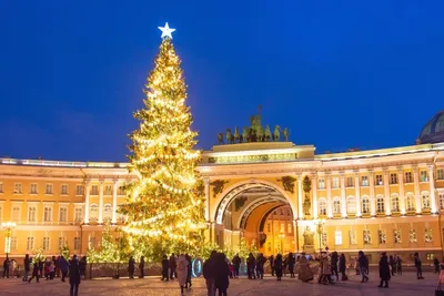 Главная новогодняя елка в Санкт-Петербурге | РИА Новости Медиабанк