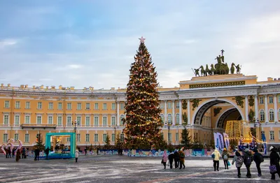 Новогоднюю ёлку на Дворцовой площади украсят в ретростиле, а огни на ней  зажгут 20 декабря — Новости Санкт-Петербурга › MR-7.ru