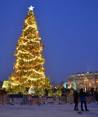 Новый год 2024 в Санкт-Петербурге