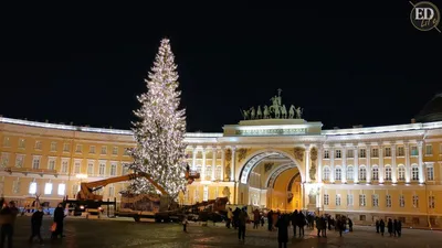 Главная Ёлка Санкт-Петербурга на Дворцовой Площади. — DRIVE2