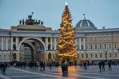 С Дворцовой площади убрали главную новогоднюю ель Петербурга