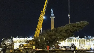 Фотозону на Дворцовой площади откроют в преддверии Нового го - 23 ноября  2023 - Петербург Онлайн